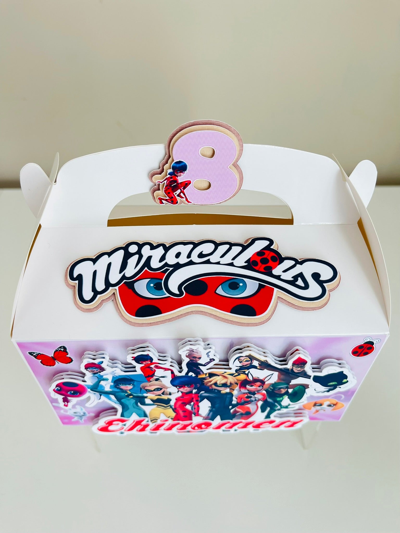 Personalized 3D Lady Bug and Cat Noir Miraculous Gable Boxes | Personalized Party Favor Boxes