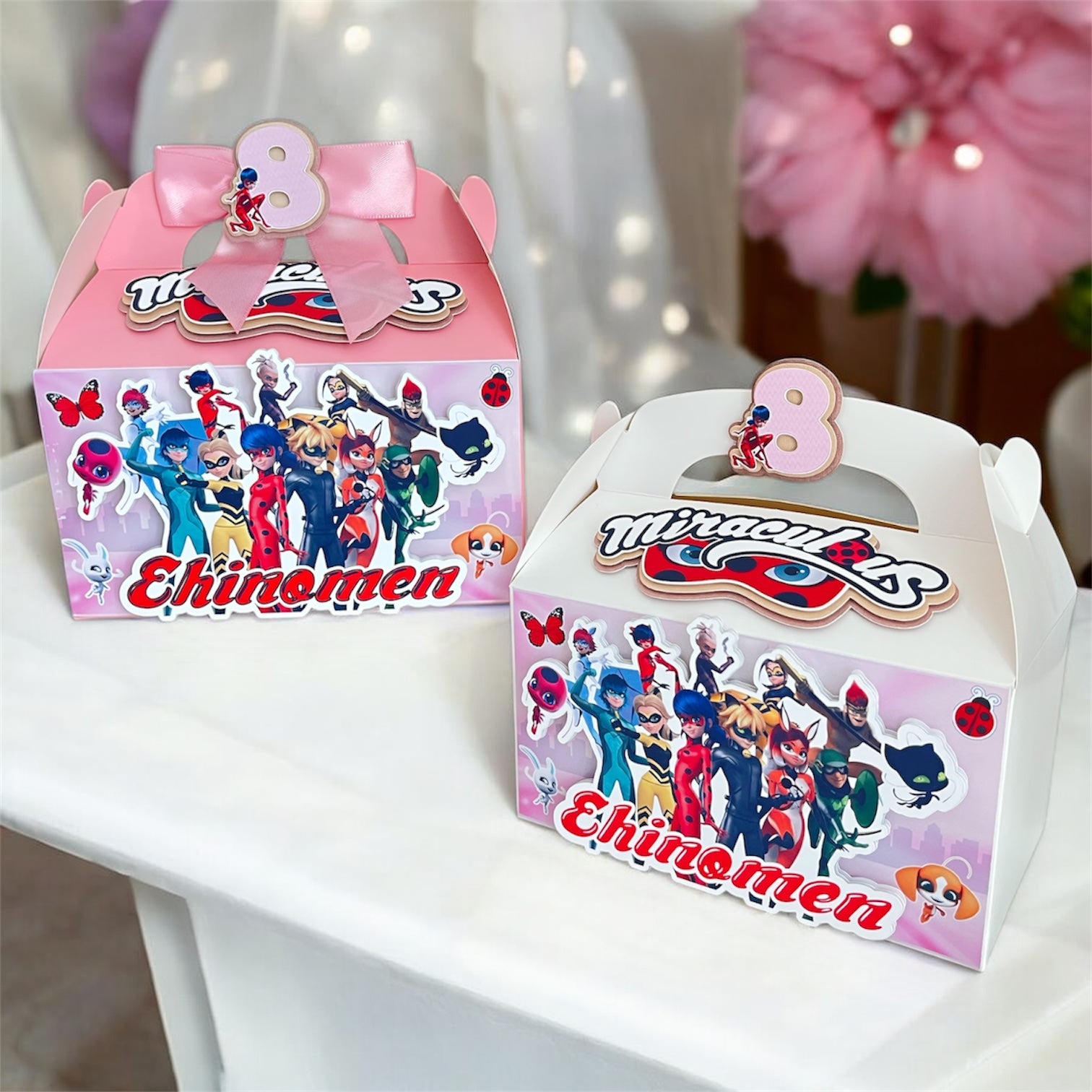 Lady Bug and Cat Noir Miraculous 3D Gable Boxes Treat and Gift Boxes Personalized Party Favor Boxes